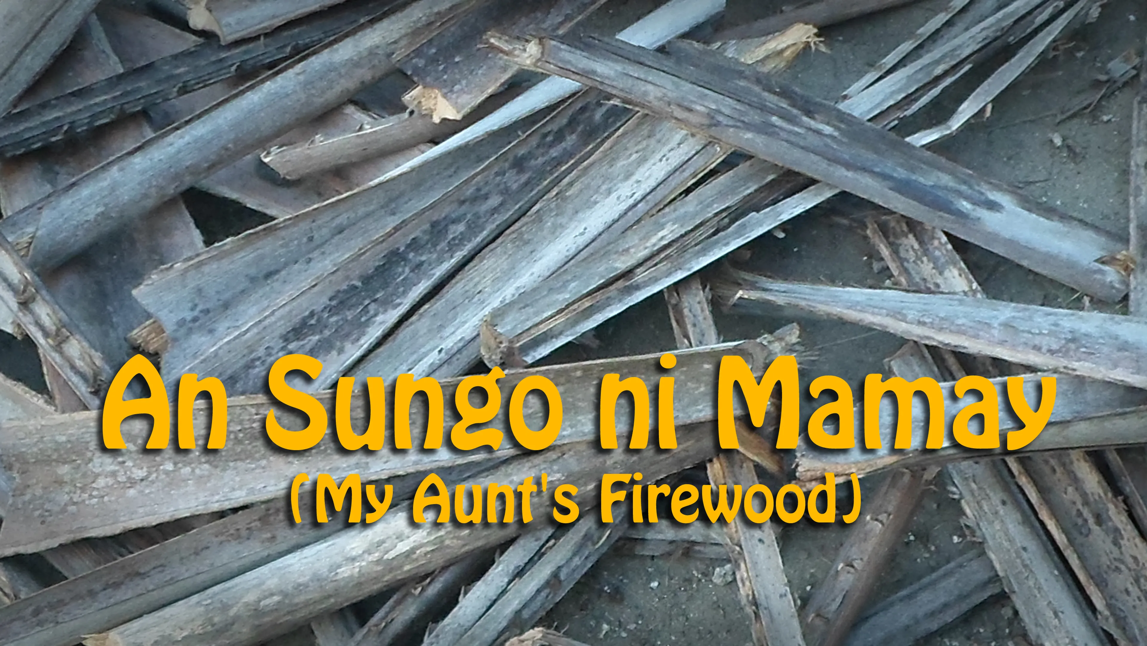 My Aunt's Firewood poster